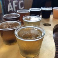 Tasting Palette at Forrest Brewing Company in Forrest