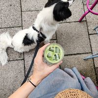 Cold matcha latte with oat drink at Storm in a Coffee Pot in Munich