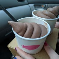 Vegan chocolate soft serve at Goodnight Fatty in Salem