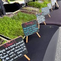 microgreens at The Original Bardstown Road Farmers' Market in Louisville