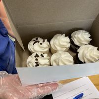 6 vegan cupcakes 🧁  at Mmmm Delicious Cupcakes in New Port Richey