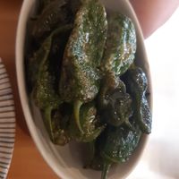 Pimientos de Padron at La Vegana Taperia in Malaga
