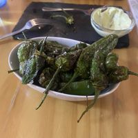 Padron peppers  at La Vegana Taperia in Malaga