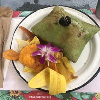 Vegan pillow   at Bulegreen in Oakland Park