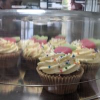 Cupcakes at Plantside in Wellington