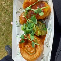 Small toad in the hole at Plantside in Wellington