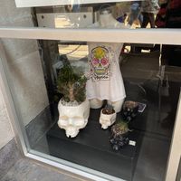 Museum Storefront (next to outdoor seating)  at Mumedi in Mexico City