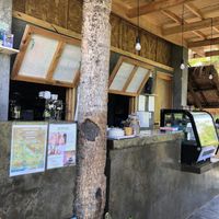 Order here at Jungle Cafe in Siargao