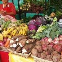 Lots of organic produce at Bioferia Organic Market in Lima