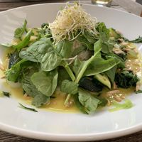 Daily menu vegan green curry  at Henri's in Emden