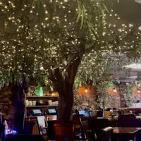 Enchanted Tree   at Enchanted Forest in Placerville