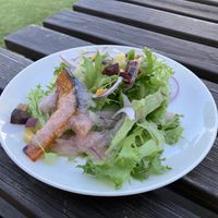 Salad  at 1110Cafe/Bakery in Kawaguchi