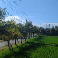  at Gurihan Mas in Ubud