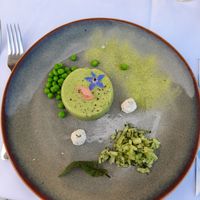 Plant-based dream at Haus 26 in Weissbriach