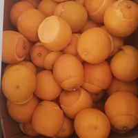 Vegan Real Orange 🍊 Ice Cream at Baba Ramdev Vegan Ice Cream in Chennai