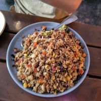 Fried rice at Spicy Moon - 3rd St in New York City