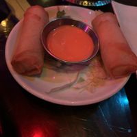 Spring rolls  at Spicy Moon - 3rd St in New York City