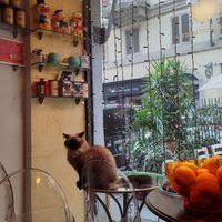 Mi sento osservata :) at Caffè dell'Erboristeria Mességué in Turin