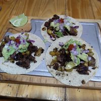 Tacos at Mercy Vegan Food in Bogota