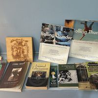   at Mercy Vegan Food in Bogota