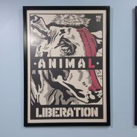  at Mercy Vegan Food in Bogota