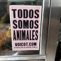   at Mercy Vegan Food in Bogota