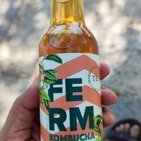 Kombucha at Vegorilla in Montpellier