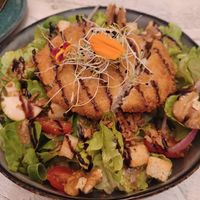  at Vegorilla in Montpellier