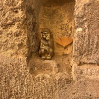   at Green Gorilla in Montpellier