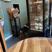   at Szklarnia in Krakow