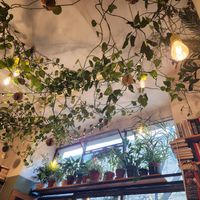  at Szklarnia in Krakow