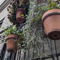  at Szklarnia in Krakow