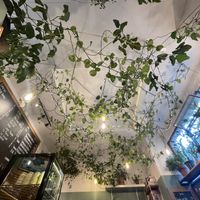   at Szklarnia in Krakow