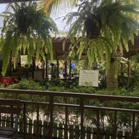 Cafe   at The Backyard Cafe & Bistro in Koh Lanta