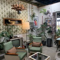 Sick interior   at The Social in St Helens