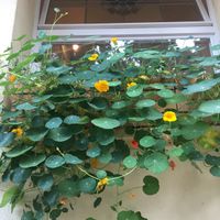 Outside  at Gravity in Stuttgart