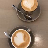 Oat cappuccino and latte at The Early Bird in Birmingham