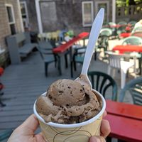 vegan mocha chip ice cream at Farfar's Danish Ice Cream Shop in Duxbury