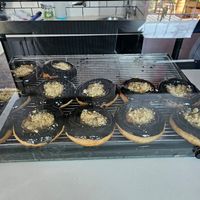  at Grumpy & Runt in Western Cape