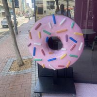   at Grumpy & Runt in Western Cape