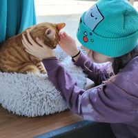 #Veganuary at Crooked Tail Cat Cafe in Greensboro