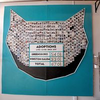  at Crooked Tail Cat Cafe in Greensboro