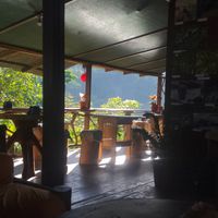 Gorgeous ambience #Veganuary at Nature Cafe in Drake Bay