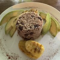 Pinto Gallo made vegan with avocado and plantain   at Nature Cafe in Drake Bay