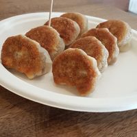 Impossible dumplings at The Dumpling Shop in New York City