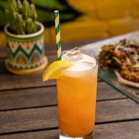  at Ras Plant Based in Brooklyn