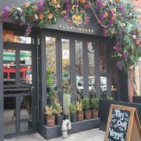  at Ras Plant Based in Brooklyn