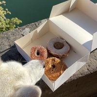   at Mystifry in Basel