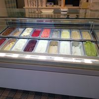 Various vegan and vegetarian flavours at Eis Greissler in Wiener Neustadt
