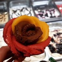 Vegan Ice cream in a cone, extremely tasty ans so beautiful! at Amorino in Hannover